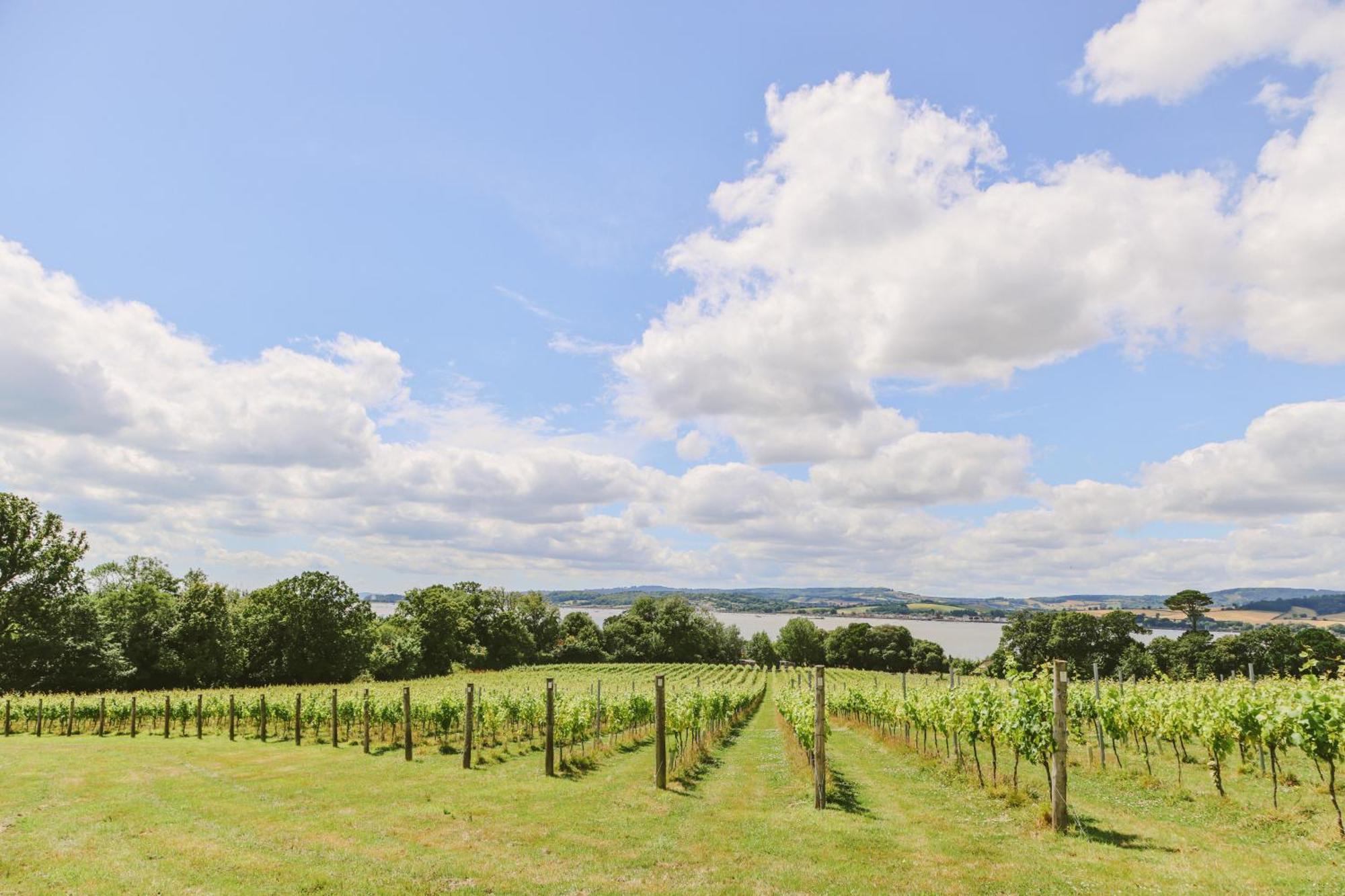 Lympstone Manor Hotel Restaurant & Vineyard - Relais & Chateaux Exmouth Exteriér fotografie