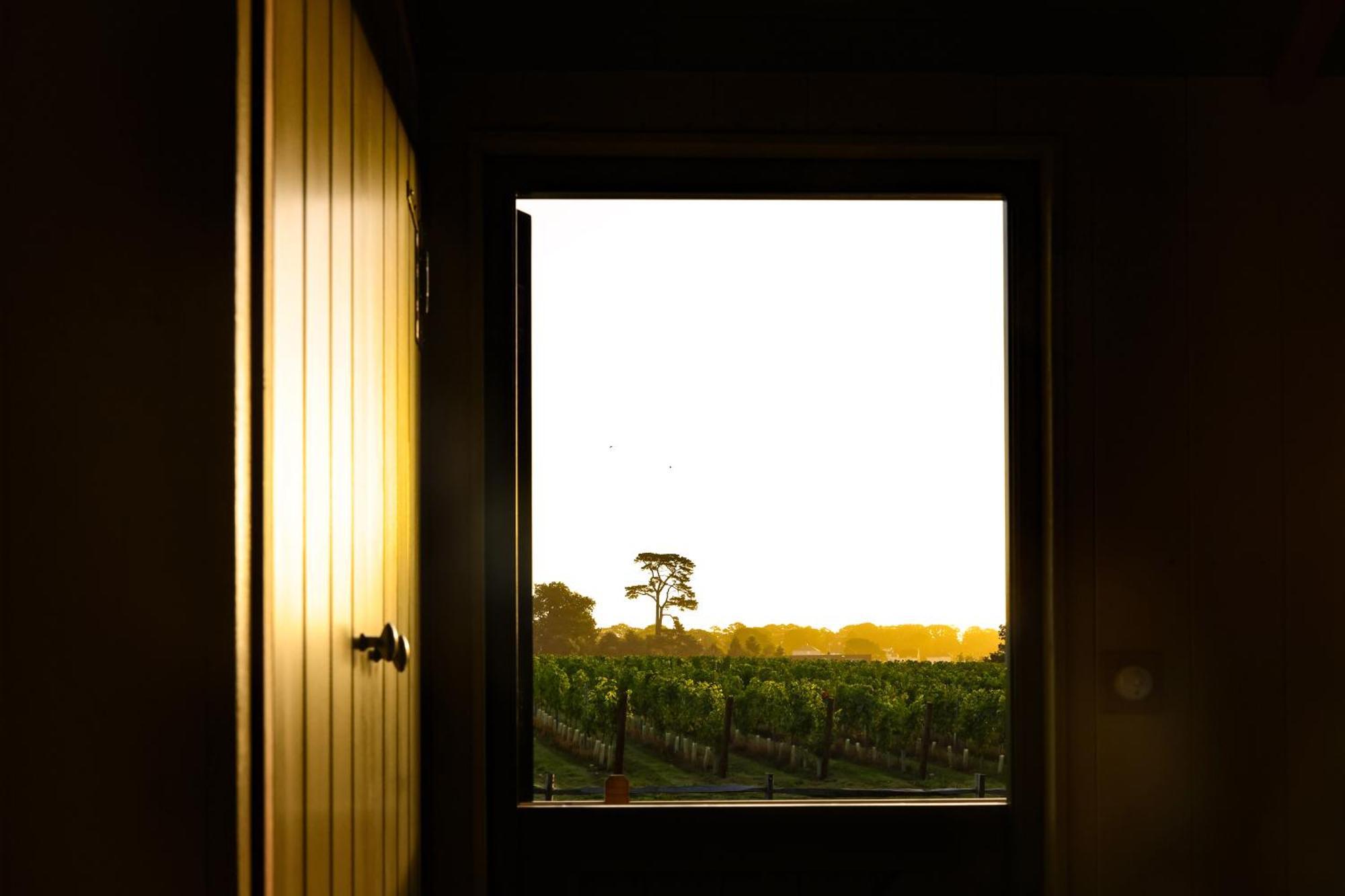 Lympstone Manor Hotel Restaurant & Vineyard - Relais & Chateaux Exmouth Exteriér fotografie