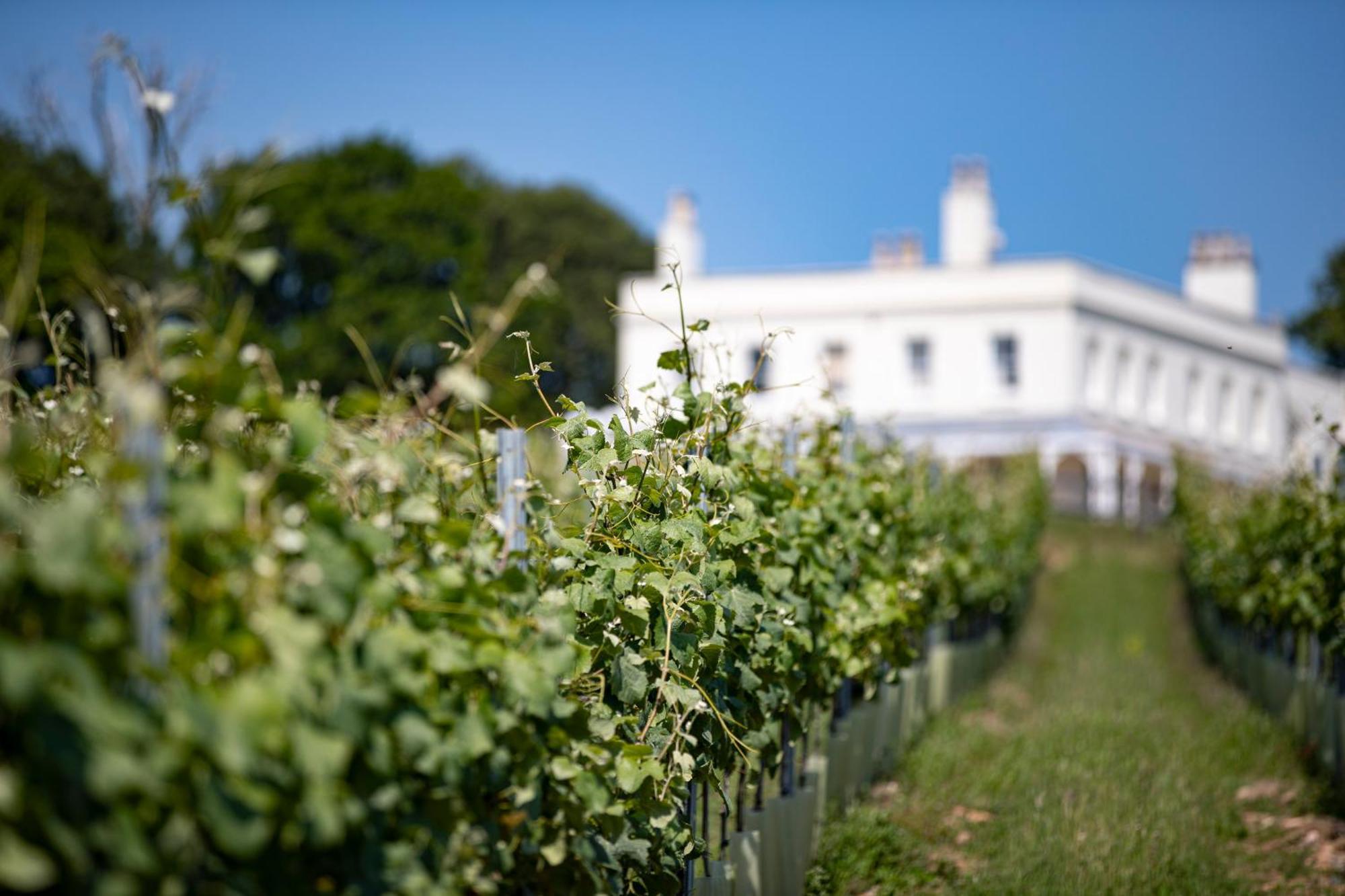 Lympstone Manor Hotel Restaurant & Vineyard - Relais & Chateaux Exmouth Exteriér fotografie