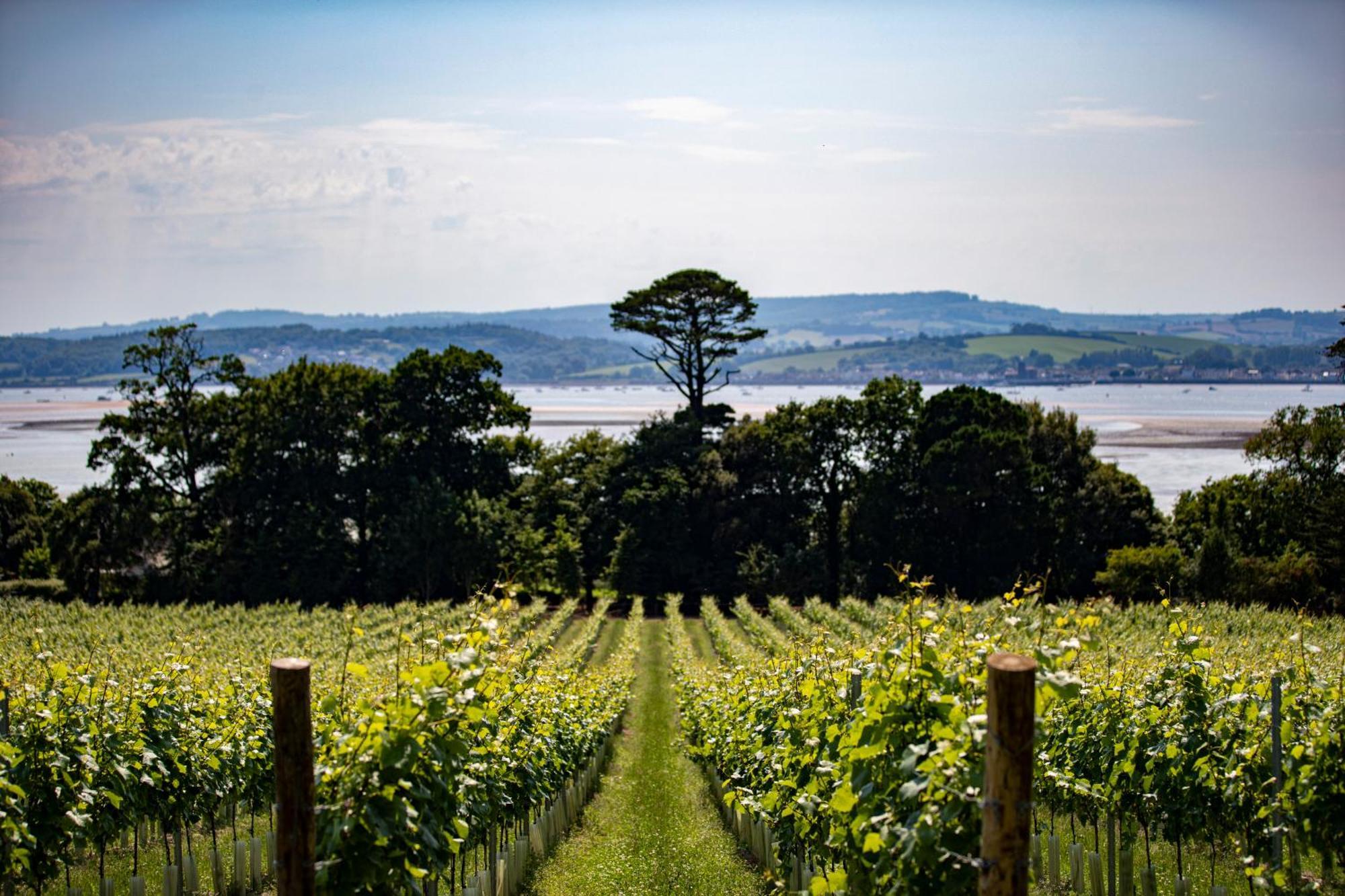Lympstone Manor Hotel Restaurant & Vineyard - Relais & Chateaux Exmouth Exteriér fotografie
