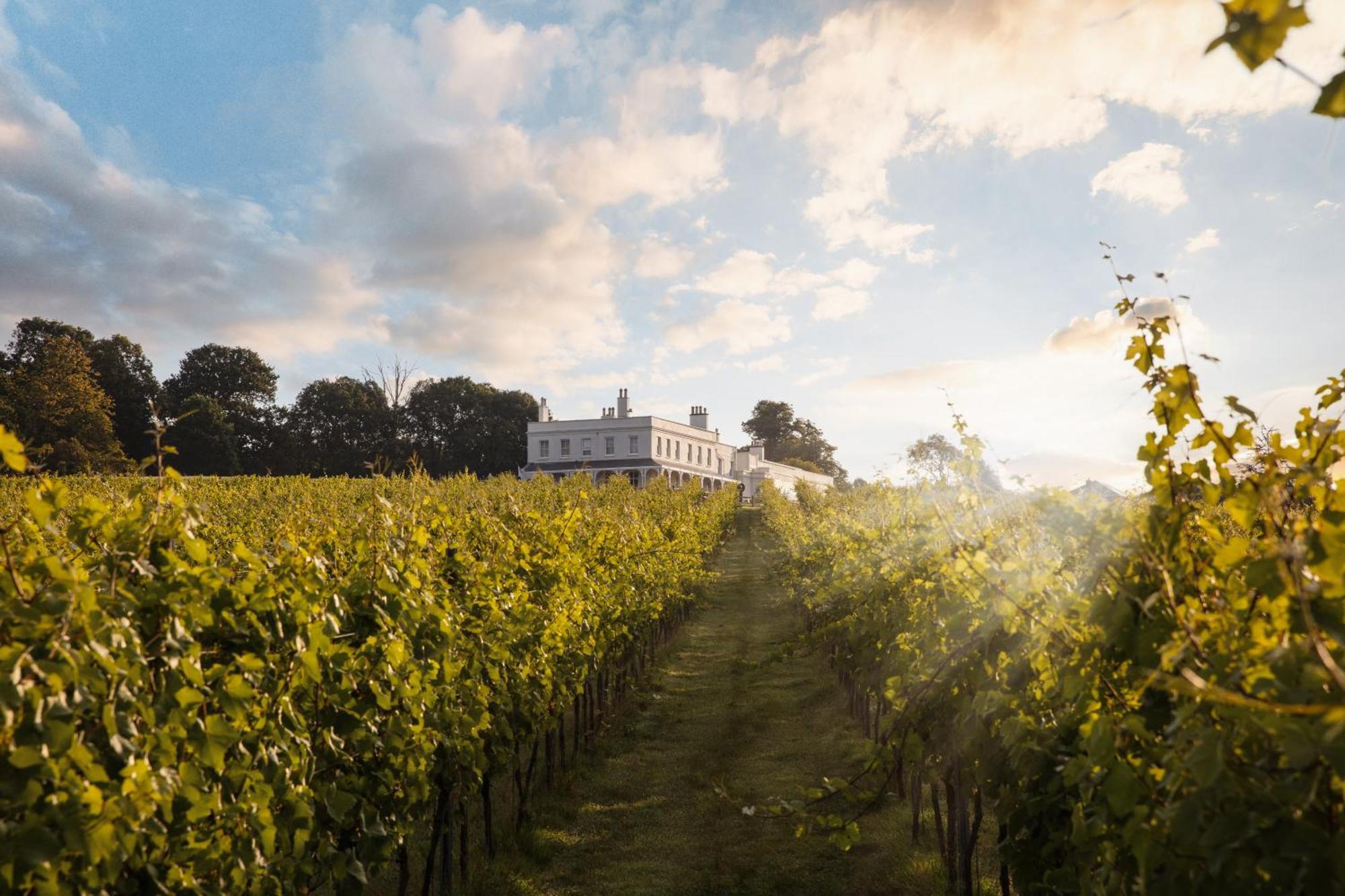 Lympstone Manor Hotel Restaurant & Vineyard - Relais & Chateaux Exmouth Exteriér fotografie